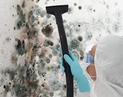 Best Forensic Mold Investigation  in St Cloud, MN